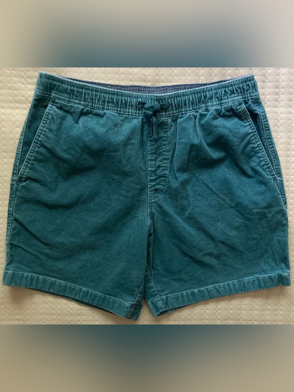 Vineyard Vines Corduroy Jetty Shorts Men’s Medium 32 7” Blue Casual Cotton